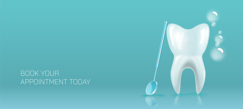 Dental anatomy and physiology. Brightening and whitening of teeth. Types of teeth cross section. Dental clinic and dental health vector illustration. Structure of human tooth alignment.