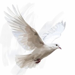  white pigeon in flight on a white background 