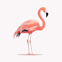 Flamingo bird standing on leg in profile flat vecto
