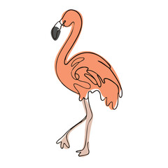 drawing illustration of a flamingo