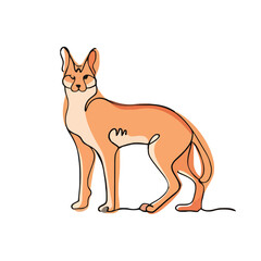 drawing illustration of animal