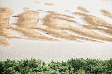 A close up of a sandy beach with trees in the foreground