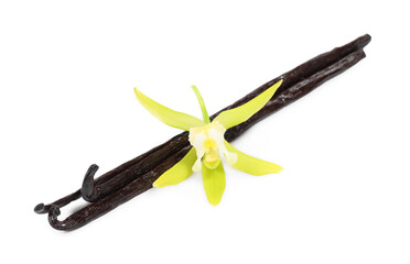 Vanilla pods and beautiful flower isolated on white