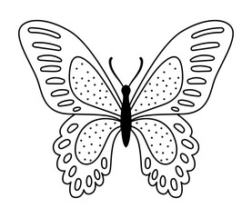 Vector butterfly. Isolated object on white background. Silhouette flat illustration. Line art.