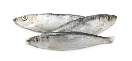 Fresh raw Baltic sprats isolated on white