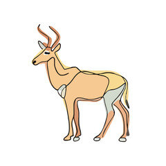 drawing illustration of animal