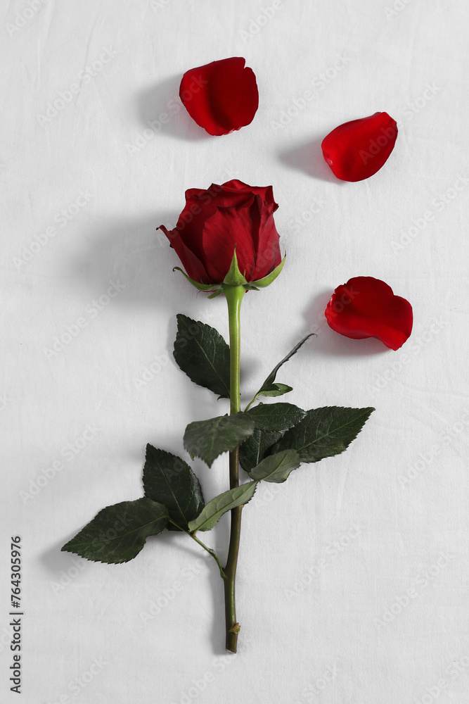 Poster Honeymoon. Red rose and petals on bed, top view