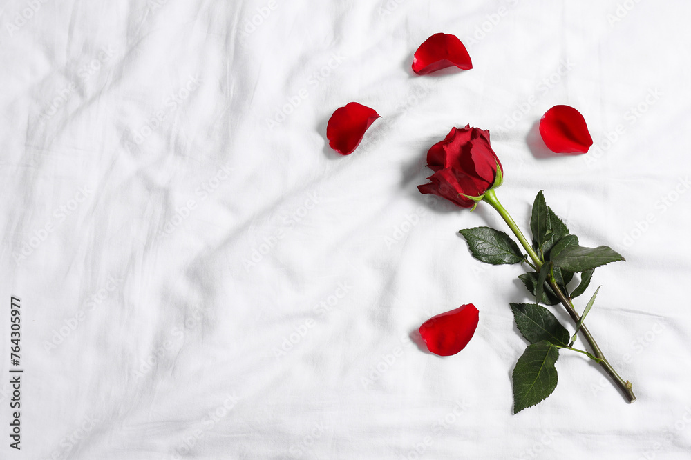 Wall mural Honeymoon. Red rose and petals on bed, top view. Space for text