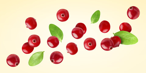 Fresh red cranberries and green leaves flying on beige background