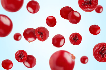 Fresh red cranberries falling on light blue background