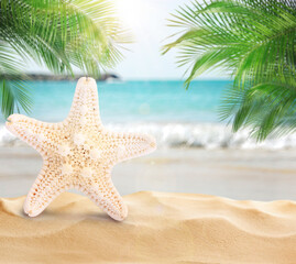 Fototapeta na wymiar Beautiful starfish on sandy beach near sea, space for text