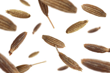 Many cumin seeds falling on white background