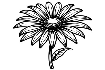 Daisy flower silhouette vector art illustration