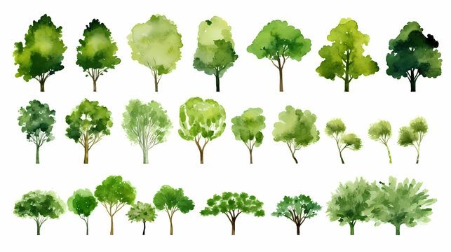 A set of green trees, vector illustration, in the style of watercolor, white background, simple design, high resolution