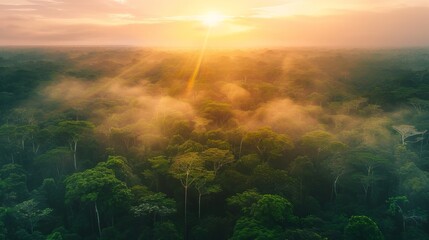 Beautiful green amazon forest landscape at sunset sunrise, bird perspective, copy and text space,...