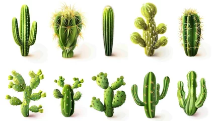 Fotobehang Cactus Cactus set collection. Isolated  background Generative AI
