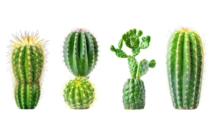 Fotobehang Cactus Cactus set collection. Isolated  background Generative AI