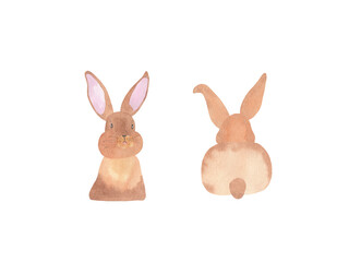 Set front and back perspective view of watercolor rabbit illustration - hand drawn isolated set of two.