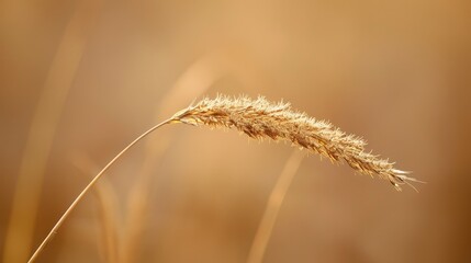 Close-up of a single blade of grass in soft focus AI generated illustration