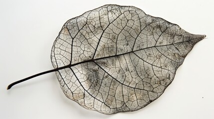 Fine details of a leafs veins against a white backdrop AI generated illustration