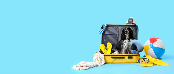 Cute cocker spaniel in suitcase with beach accessories on blue background