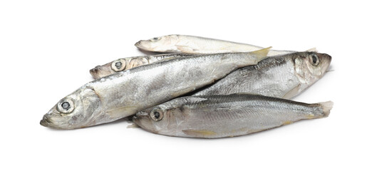 Fresh raw Baltic sprats isolated on white