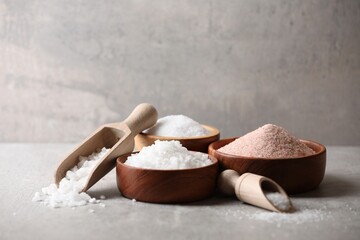 Different natural salt in scoops and bowls on grey table