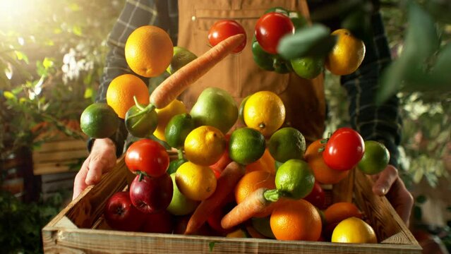 Super Slow Motion of Falling Vegetable and Fruit into Box. Farmer Holding Box, Orchard on Background. Fresh Vegetable Harvest, Countryside and Farmers Concept. Filmed on High Speed Cinema Camera.