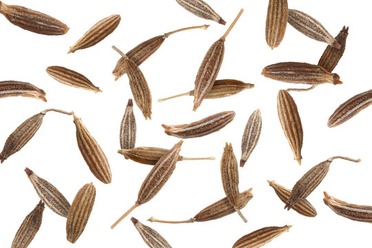 Many cumin seeds falling on white background