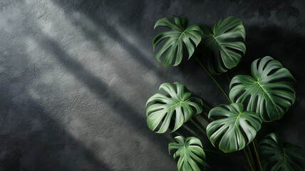 Monstera Shadow Play on Textured Canvas