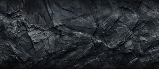 A detailed view of a dark rock surface with a single white avian perched on it - obrazy, fototapety, plakaty