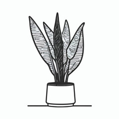 Houseplant black and white 2D line cartoon object.