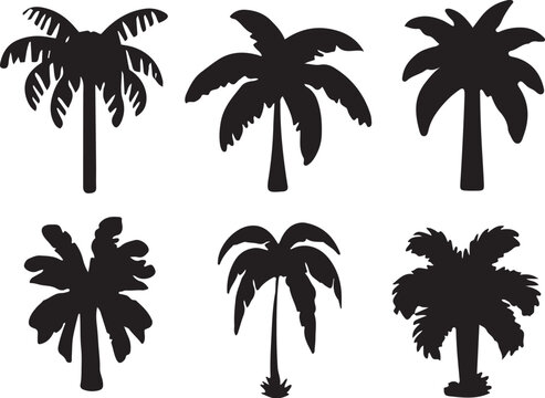 Palm Trees Silhouette Vector Set
