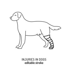 Injuries in dogs. Leg trauma icon, pictogram, symbol.