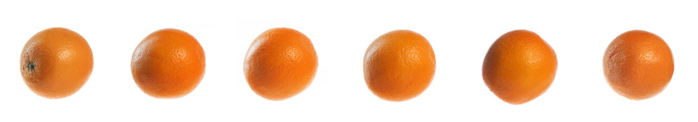oranges isolated on white collection