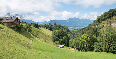 alpine landscape Sigriswil, green pasture, view to rope bridge and mountains, switzerland