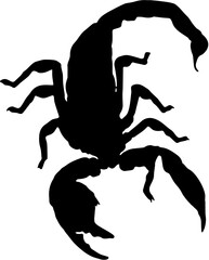 silhouette of a Scorpion 