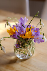 Bouquet of purple crocus in vase. Spring flowers in a vase. - 764360957