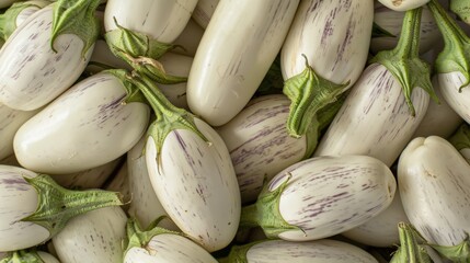 Top view of white and purple striped eggplants with green stems - obrazy, fototapety, plakaty
