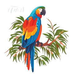 Tropical Ara parrot with bright colorful plumage ve