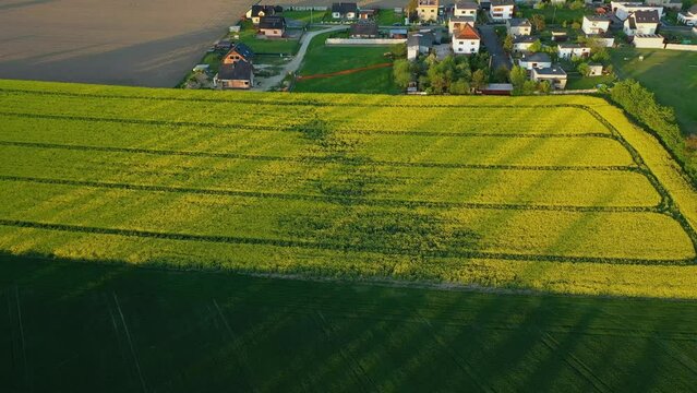Beautiful Field Landscape Zimna Wodka Aerial View Poland
