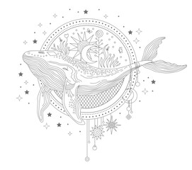 Celestial whale linear hand drawing vector illustration