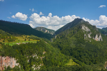 Montenegro. Canyon and Tara river. Mountains and forests on the slopes of the mountains. 