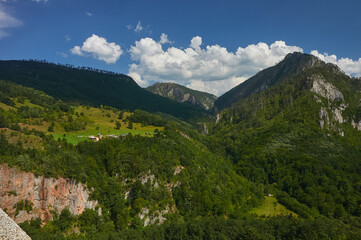 Fototapeta premium Montenegro. Canyon and Tara river. Mountains and forests on the slopes of the mountains.