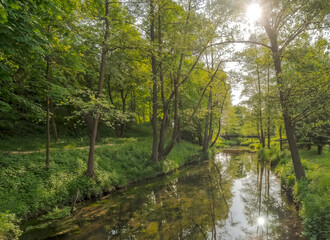 Malownicza malutka rzeka przepływająca przez wiosenny park w mglisty i słoneczny dzień. Wiosenne popołudnie w maju, w lekko mglisty dzień, wśród pięknej przyrody świętokrzyskiej. - obrazy, fototapety, plakaty