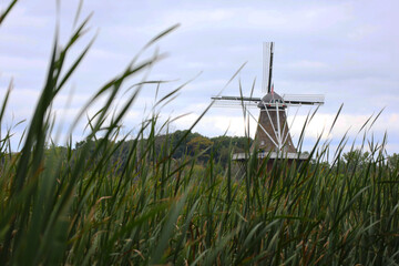 dutch windmill in the field