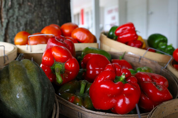 vegetables in a basket