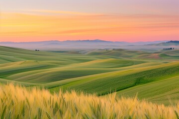 Obraz premium Sustainable Harmony: Earth Day View of Wheat Fields Merging with the Horizon, Promoting Eco Awareness, with copy space for text
