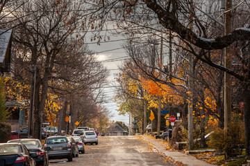 Typical north American residential street in autumn in Centretown, Ottawa, Ontario, during an autumn afternoon, with cars parked, with single family unit houses in a suburban atmosphere.