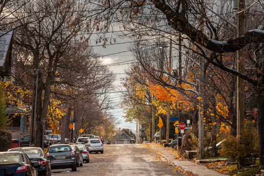 Typical north American residential street in autumn in Centretown, Ottawa, Ontario, during an autumn afternoon, with cars parked, with single family unit houses in a suburban atmosphere.